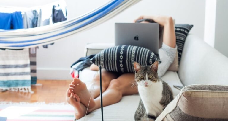 The Best Feline Advice You Will Ever Be Given
